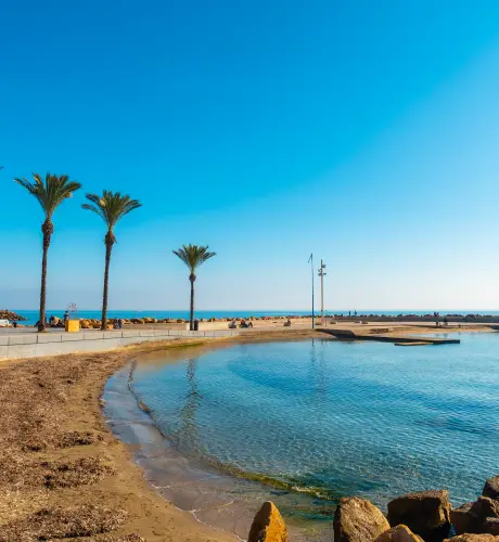 Beach with palm trees in the coastal town of torre