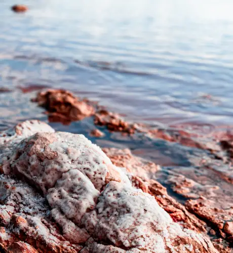 Torrevieja pink lake